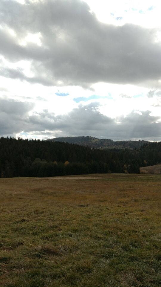 IMG_20211023_132907.jpg - Krzysk45