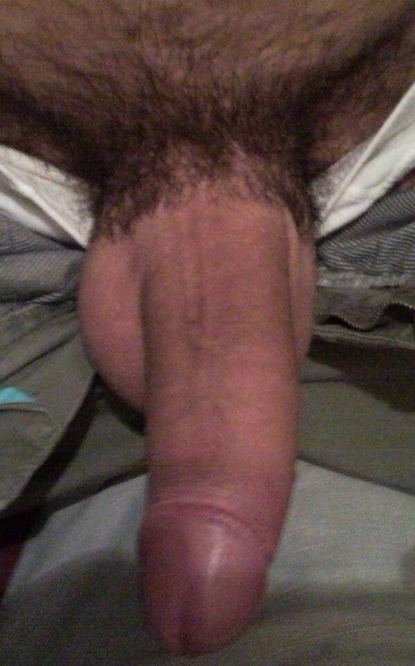 SNC01434.jpg - MENDICK47