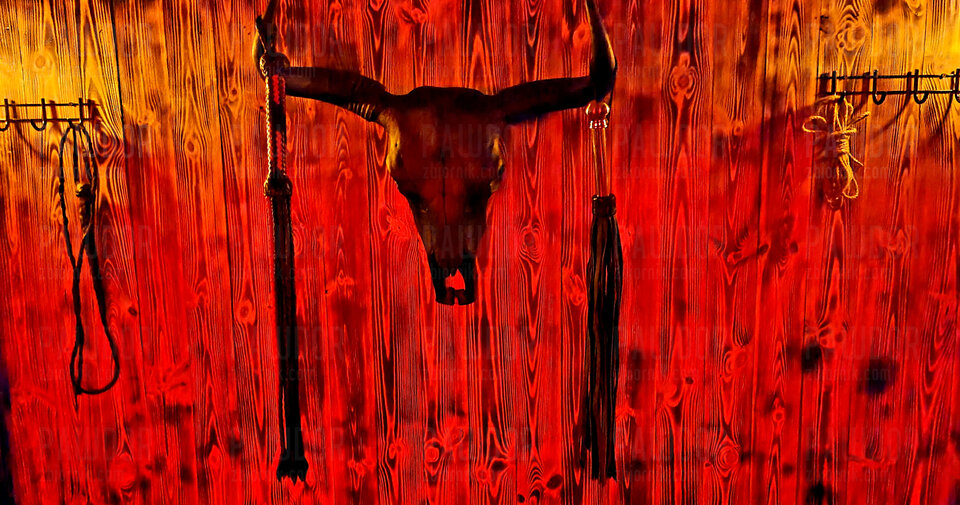 20211027_183121.jpg - pawdor