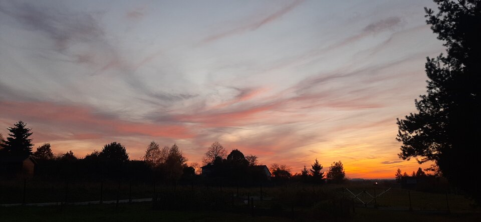 20211027_173226.jpg - Marius197