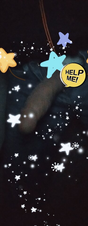 IMG_20211023_230957.jpg - Hjk18