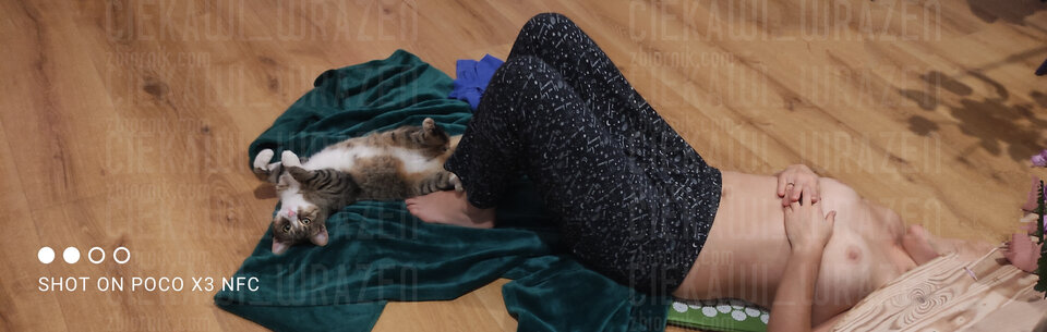 Koto terapia 😺 - ciekawi_wrazen