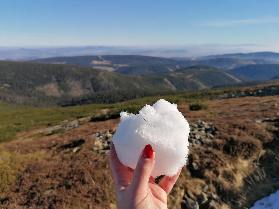 IMG_20211028_134547.jpg - ZBORKI