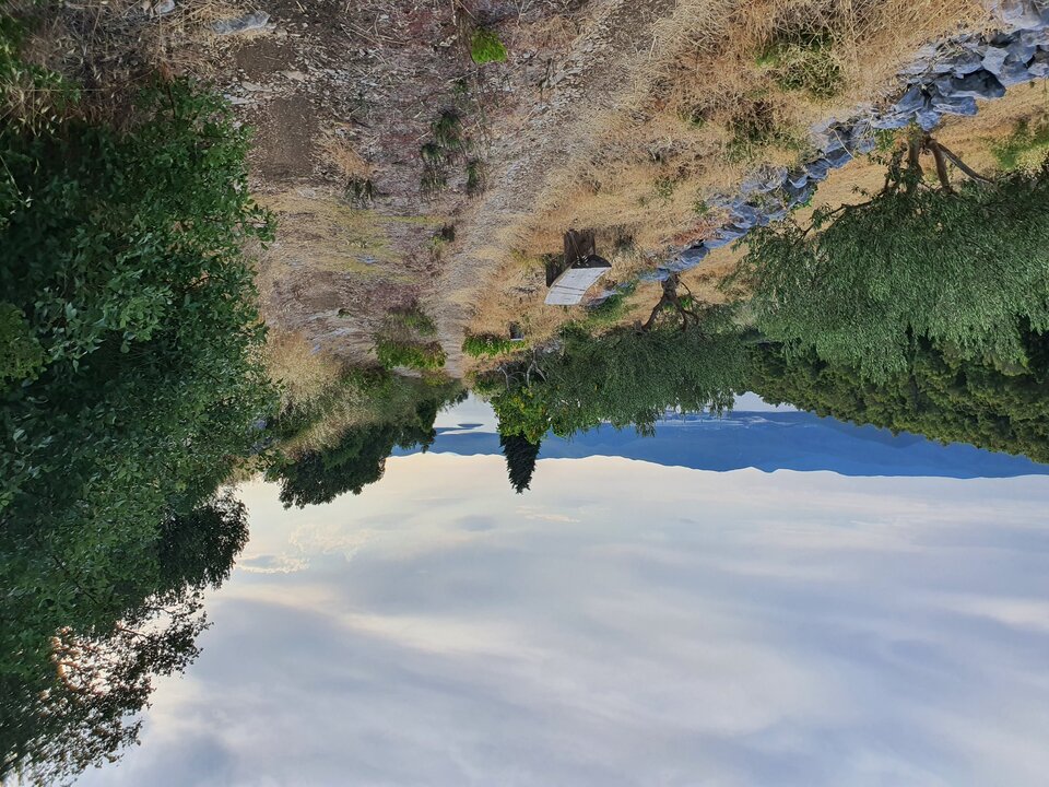 20210805_184249.jpg - Mscislawin