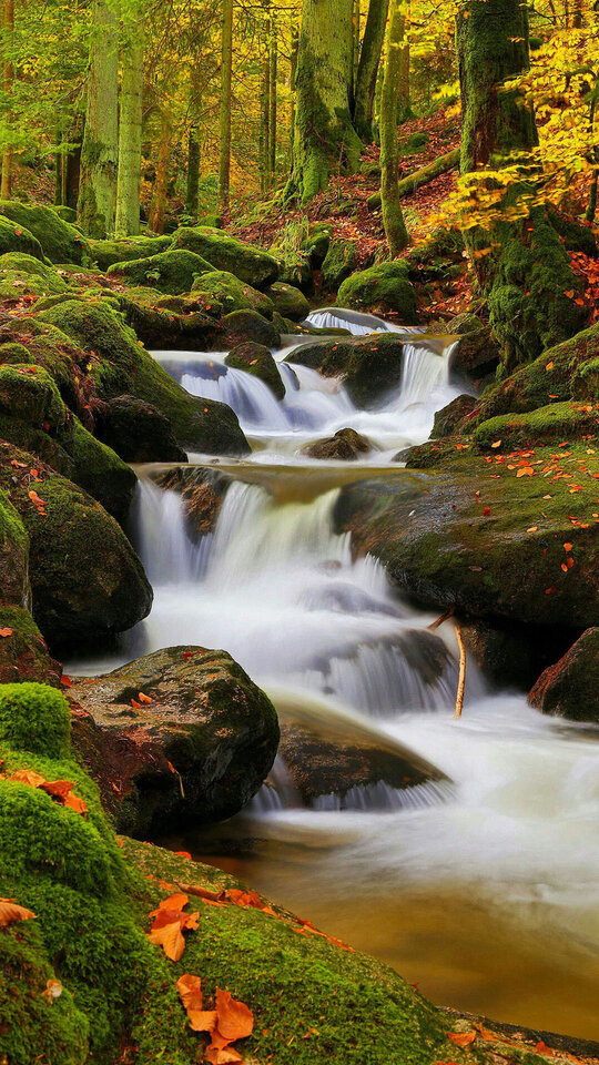 Picture_05_Stream.jpg - marekmarek1977w