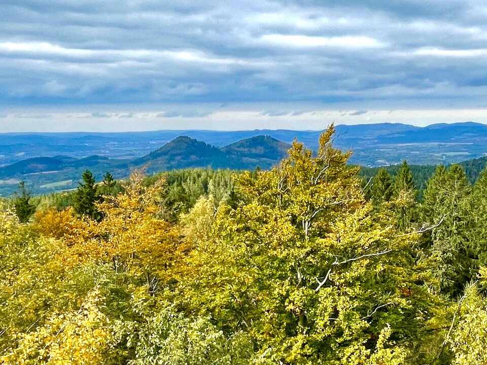 22057A3E-8979-4FFC-B818-338EF6806324.jpeg - majur