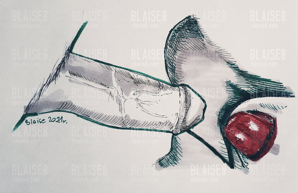 Art. No. 113 - blaise8