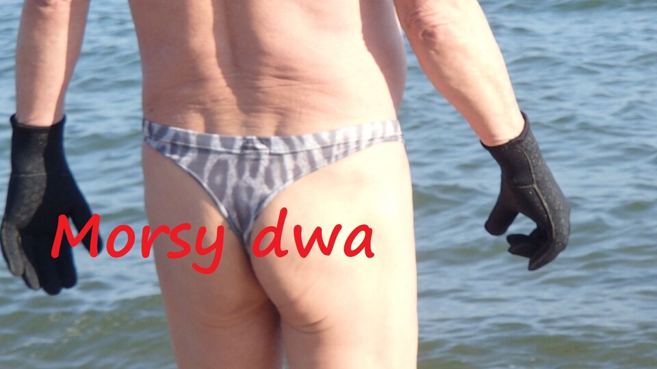 Dzisiejsza kąpiel (29 10 21) - Morsy_dwa