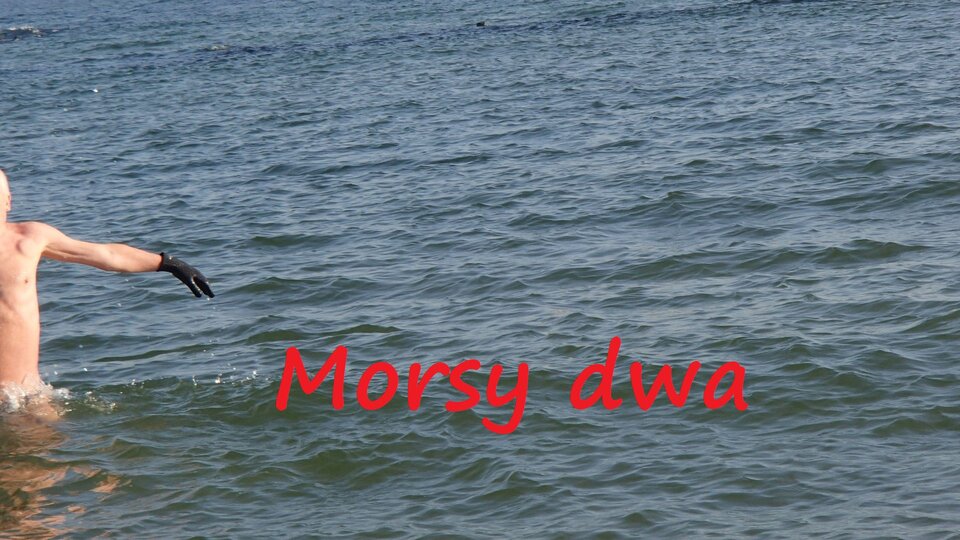 Dzisiejsza kąpiel (29 10 21) - Morsy_dwa