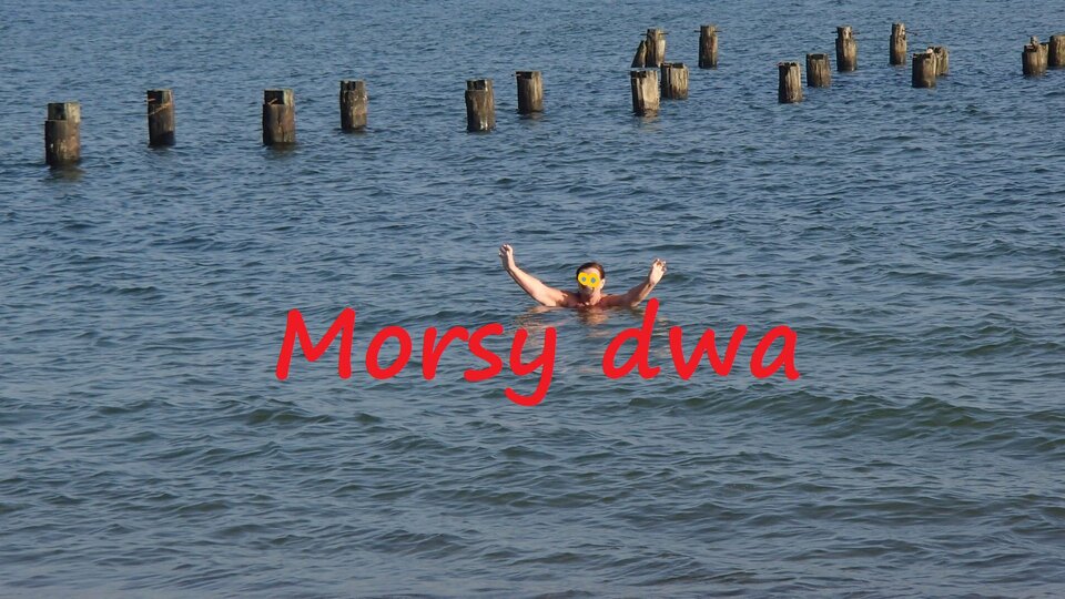 Dzisiejsza kąpiel (29 10 21) - Morsy_dwa