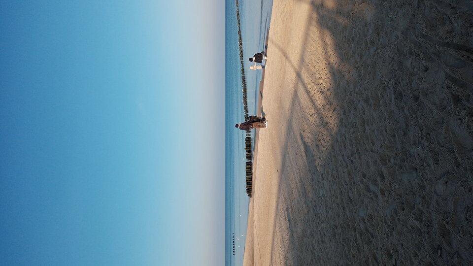 20211029_102138.jpg - Mrowka72