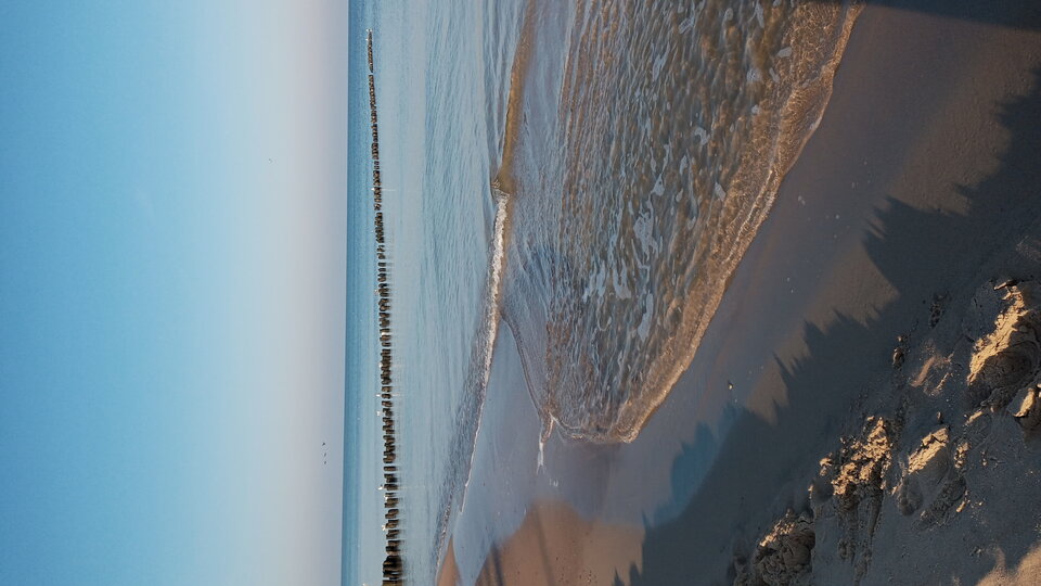 20211029_102156.jpg - Mrowka72