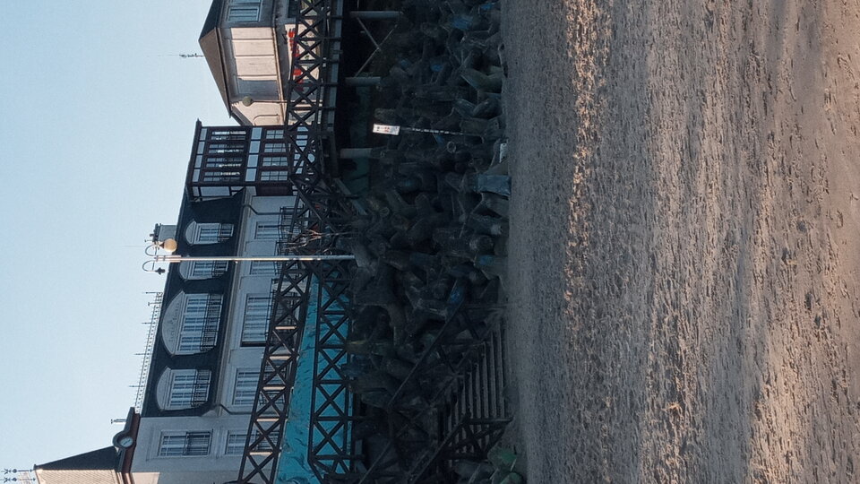 20211029_102315.jpg - Mrowka72