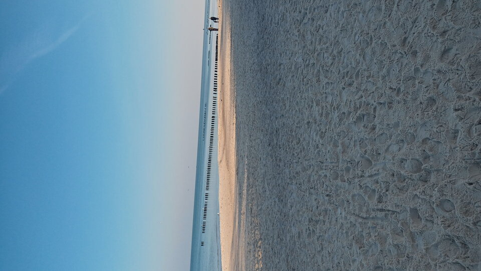 20211029_102133_HDR.jpg - Mrowka72