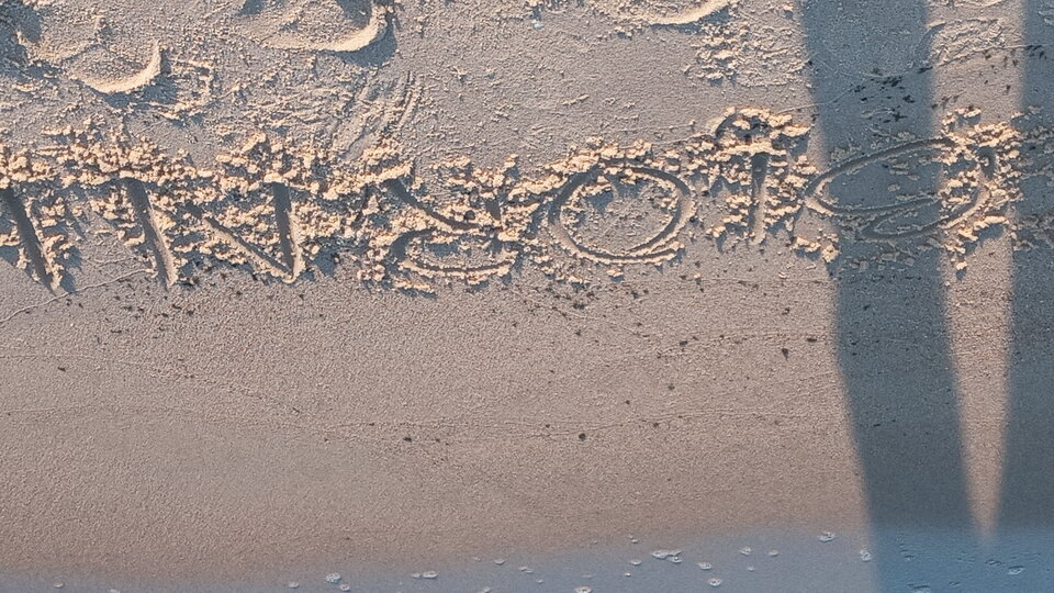 20211029_102306.jpg - Mrowka72