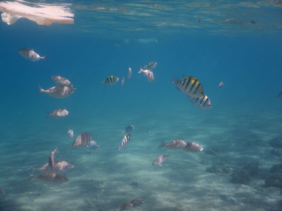 C3EB0333-F038-4ECE-9F04-92A140D9AAFE.jpeg - nrw670n