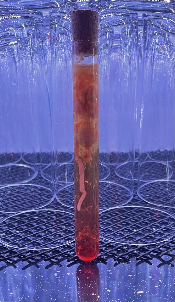 zarodek kai godek ;) - ACTSwingersClubWarszawa