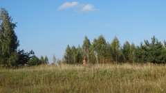DSC08613.JPG