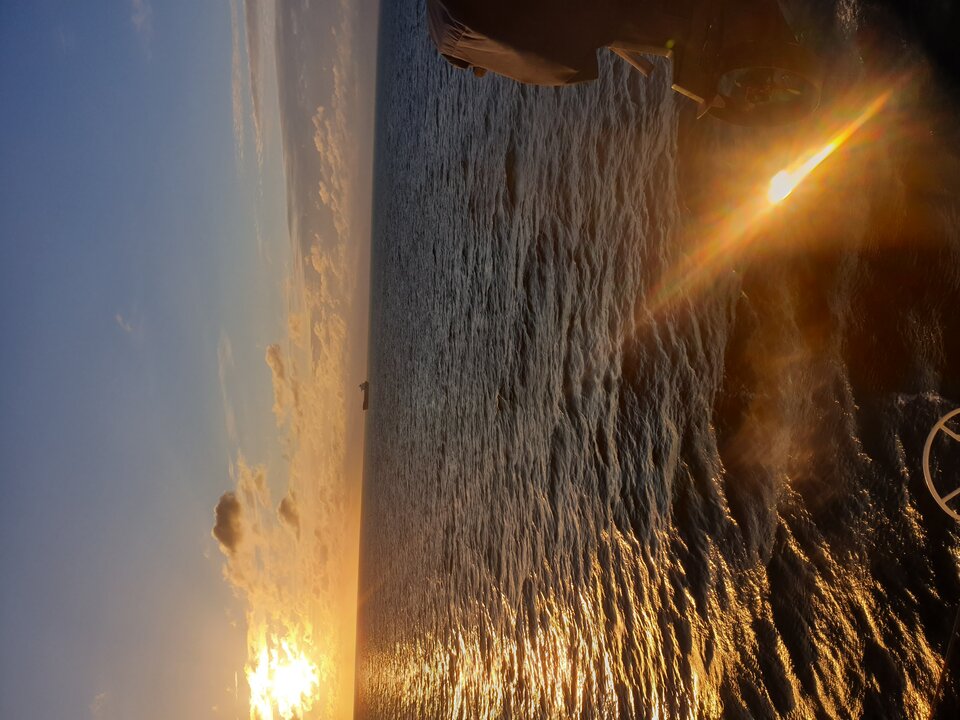 20200517_053625.jpg - szyderca1985