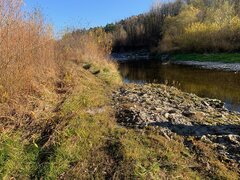 IMG_2648.jpg