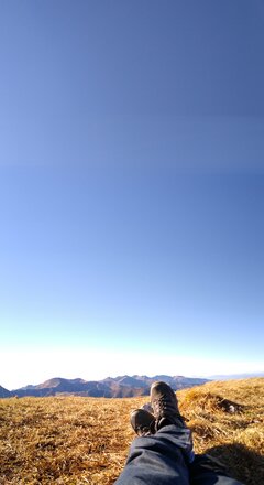 IMG_20211031_122320948.jpg