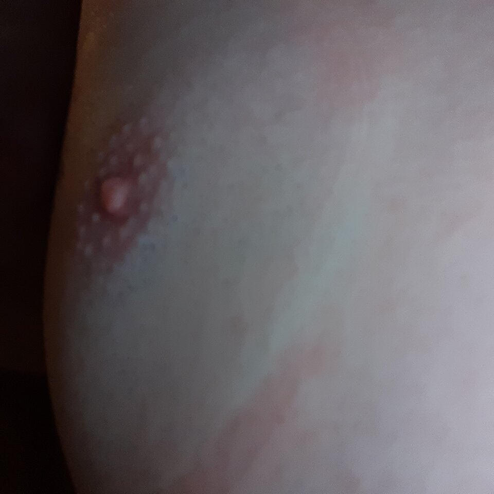 16357140192223715045108568345926.jpg - Palciusia