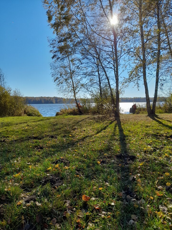 20211101_103545.jpg - Ambrozja2