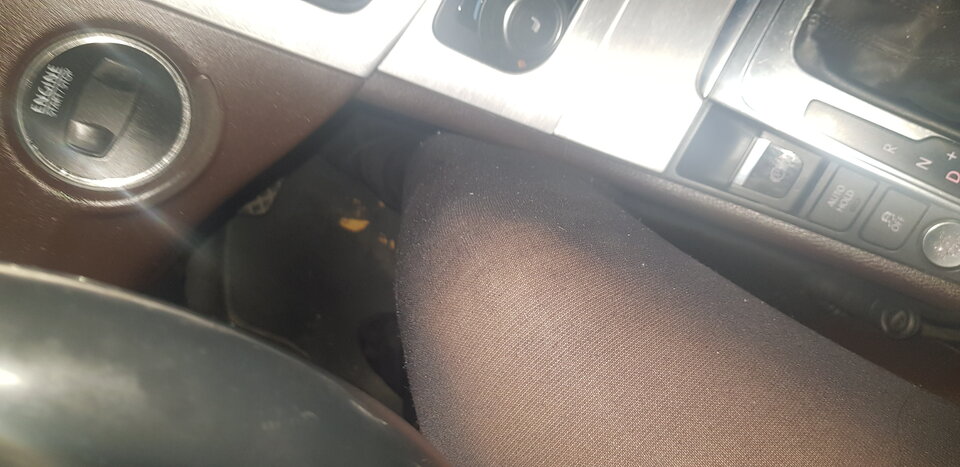 20211101_170803.jpg - paulinatrans1