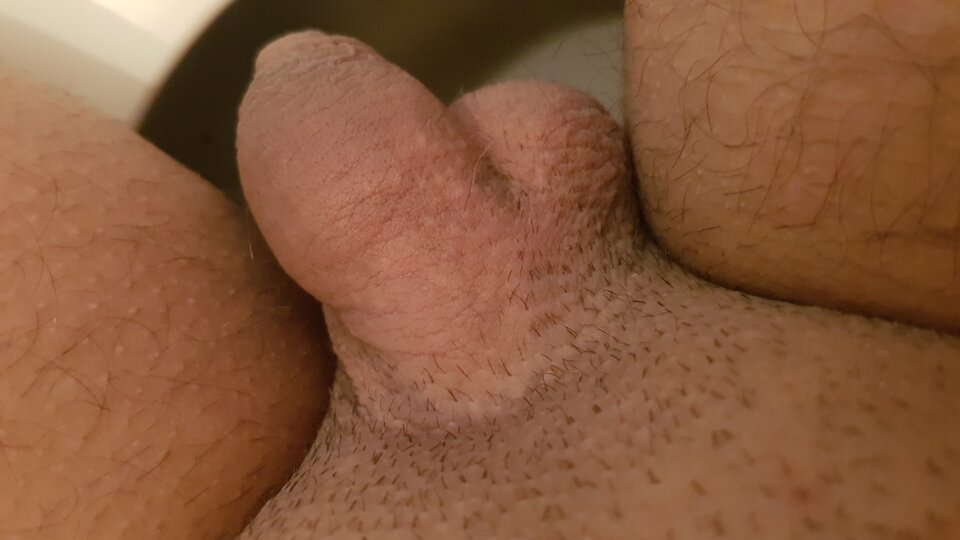 1635825568178298650387874683825.jpg - Bodzioqu92