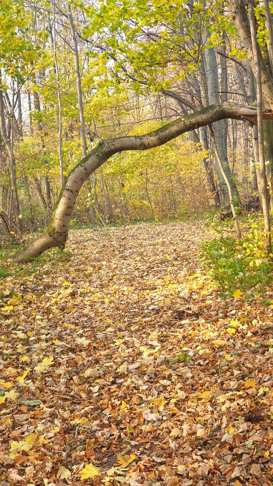 20211102_133610.jpg - reporter13