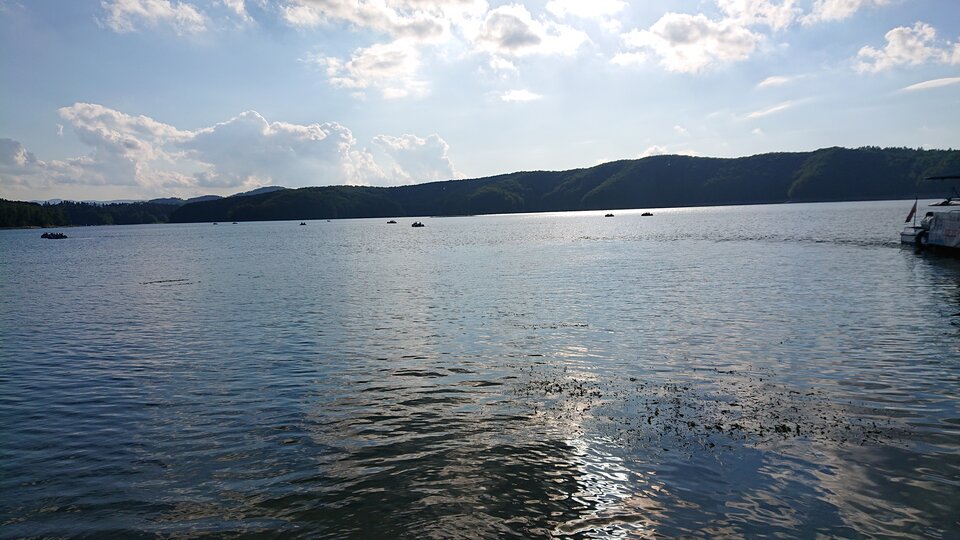 DSC_0137.JPG - misiekxx1