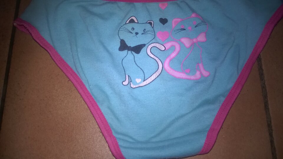 WP_20160525_014.jpg - fajkowi