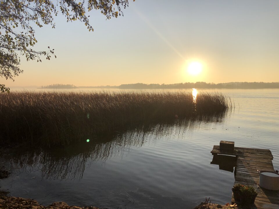 6BE189A3-8347-4495-B7AE-01F442F41DFE.jpeg - AgaPaw8278