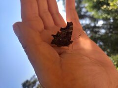 20200805_104544.jpg
