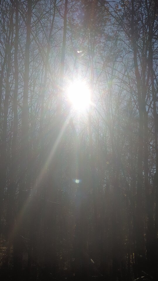 20211101_120026.jpg - reporter13