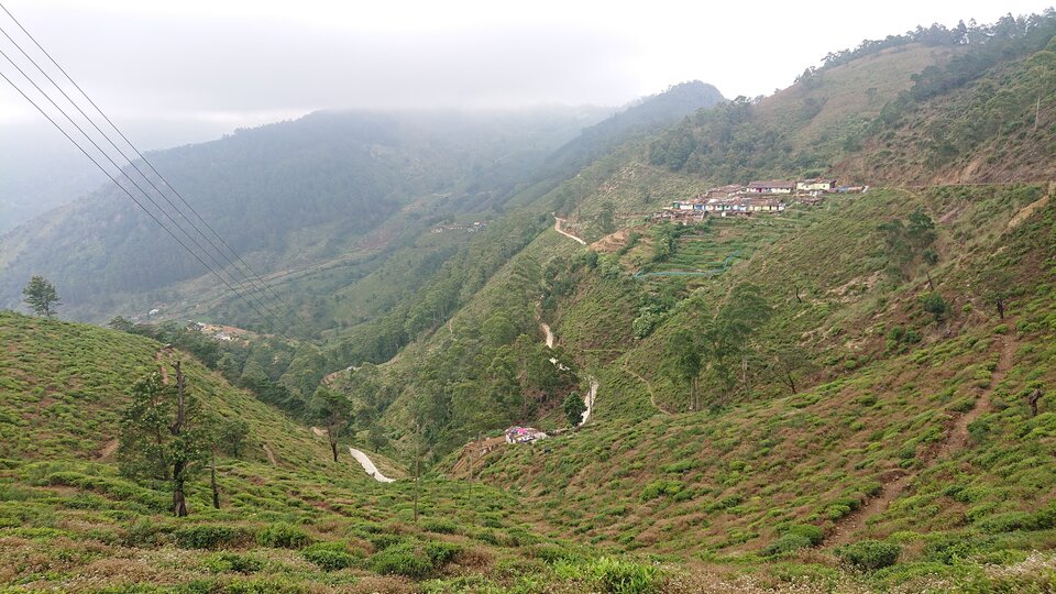 1pub.JPG - DyskretnyDzik