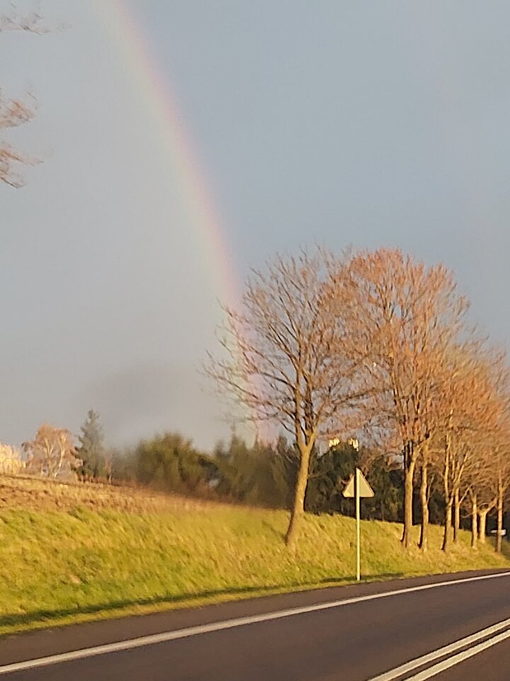 20211104_153057.jpg - OnBruuunet76