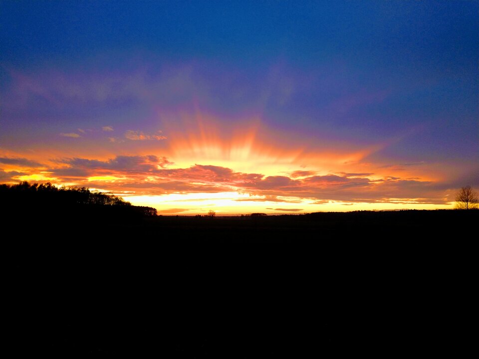 IMG_20211104_160157746.jpg - skrad_dleihs