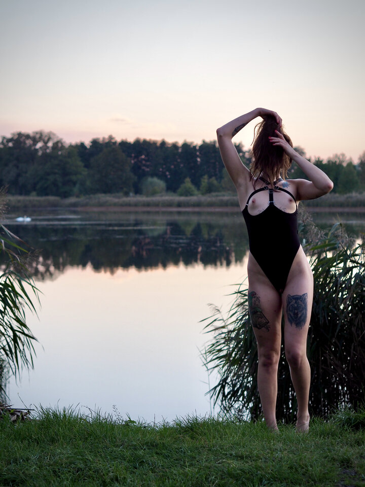 Łabędzie.jpeg - Parrots