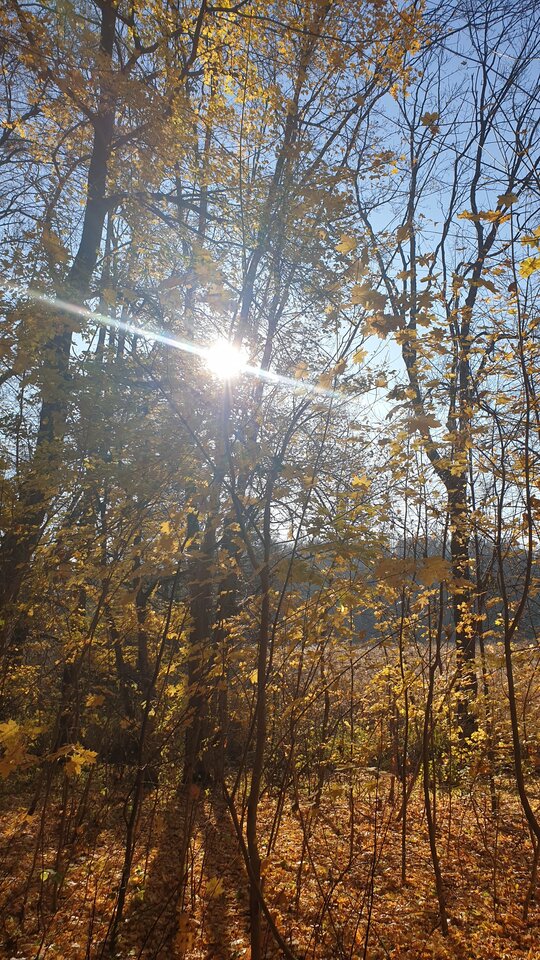 20211101_115550.jpg - reporter13