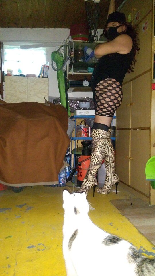 IMG_20211105_091904.jpg - unialeszno