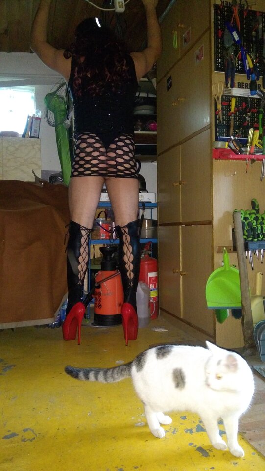 IMG_20211105_091106.jpg - unialeszno