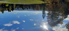 20211016_111708.jpg