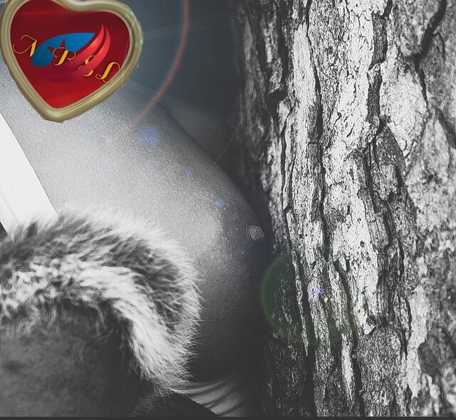 1105_084325.jpg - MBSL