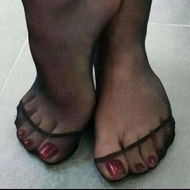 FB_IMG_16196966746600184.jpg - wolnyjakPtaszek