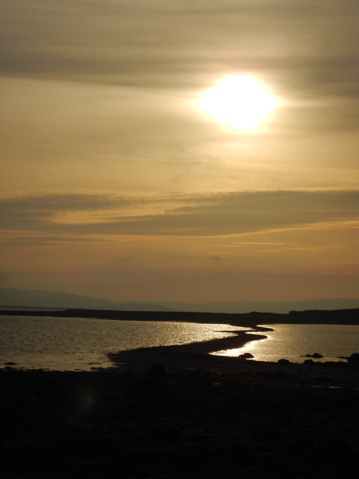 DSCN8833.JPG - olmecagold