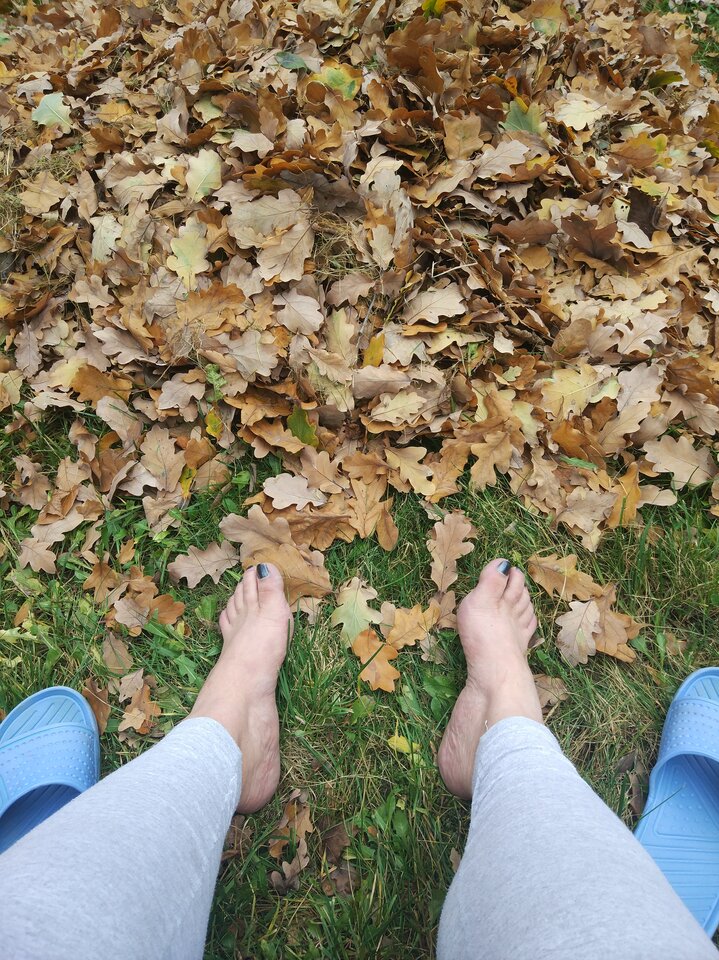 liście - Smieszka80