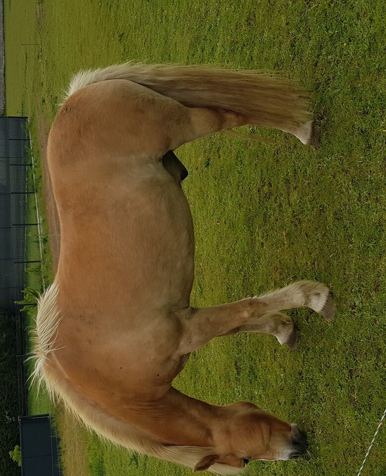 20210514_155632.jpg - krzysiek476