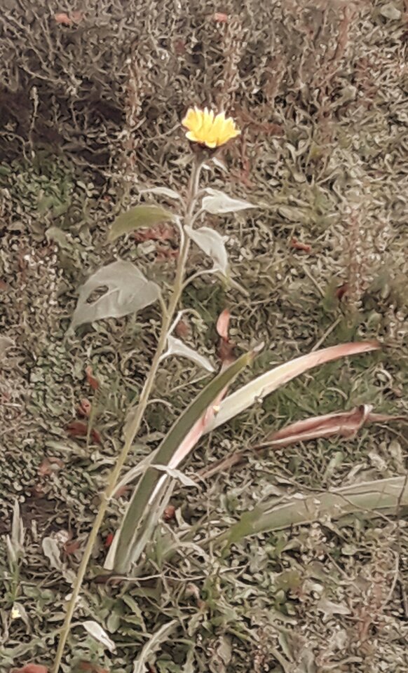 20211107_131212.jpg - ParaGdansk82