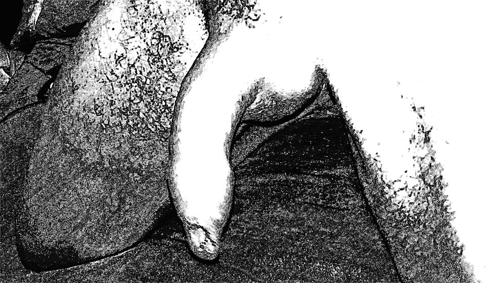 pencil_sketch_1636320496349.jpg - Weeds84